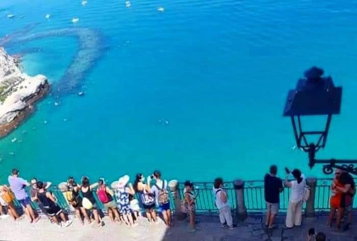 Casetta Pinetamare Tropea Exteriör bild
